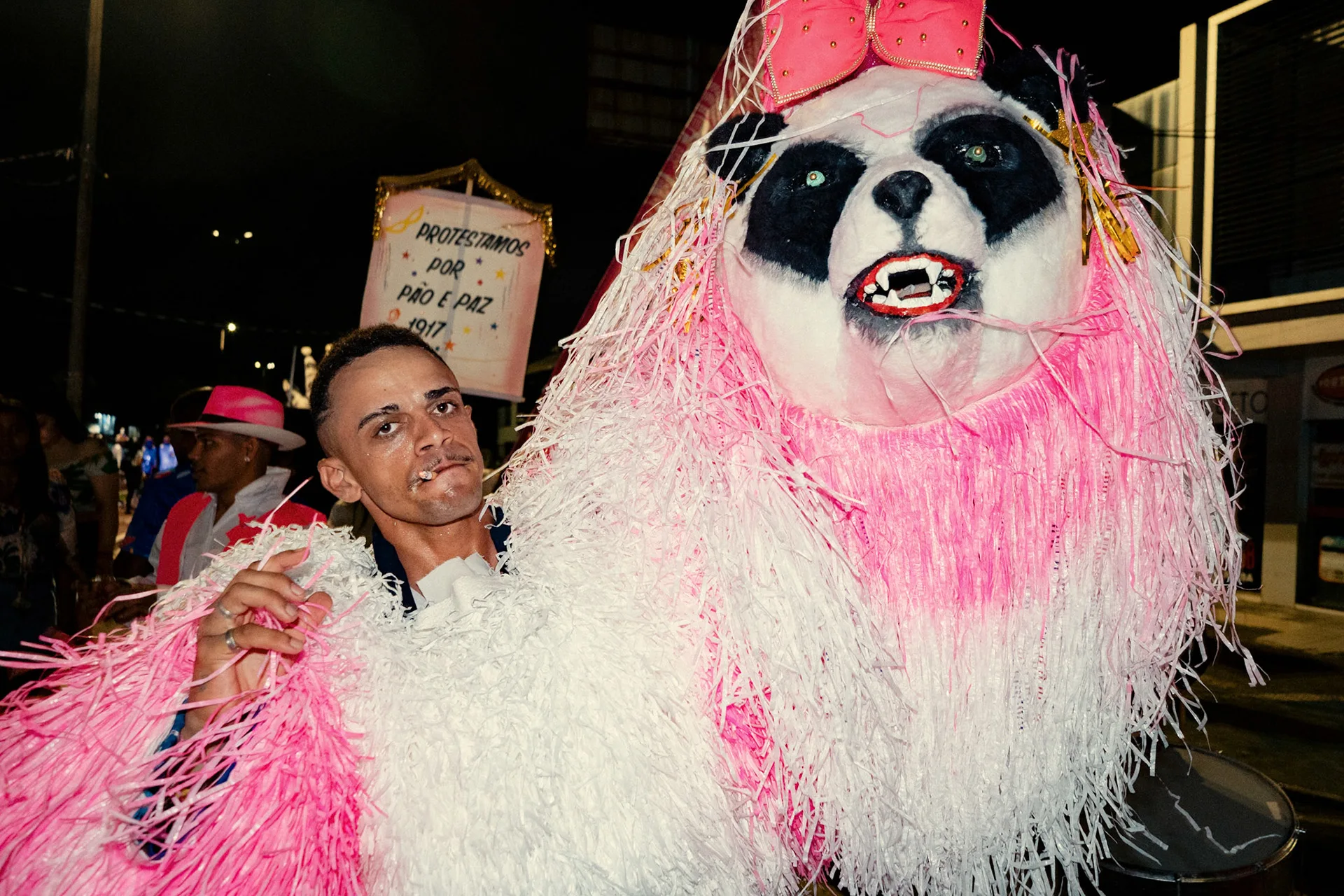 Ala Ursa: photograph by Leo Saraiva, image 10