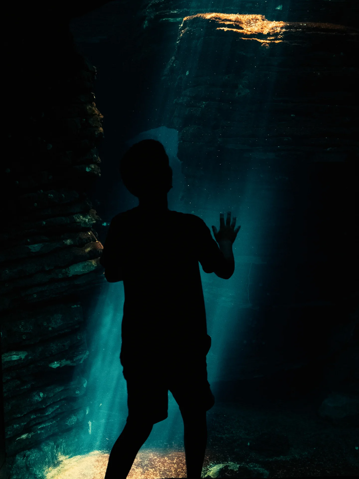 Fragments: photograph by Leo Saraiva, image 1