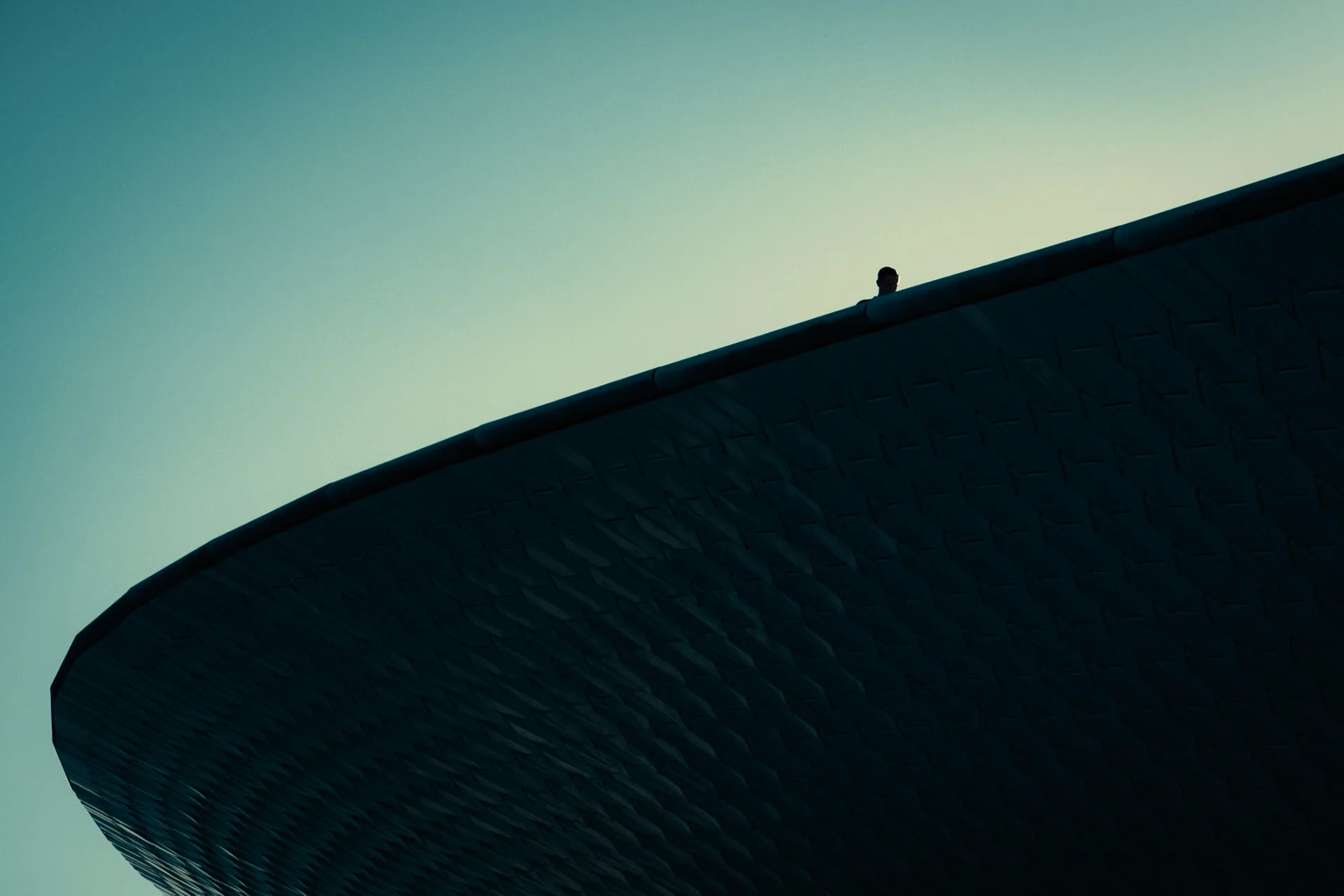 Fragments: photograph by Leo Saraiva, image 12