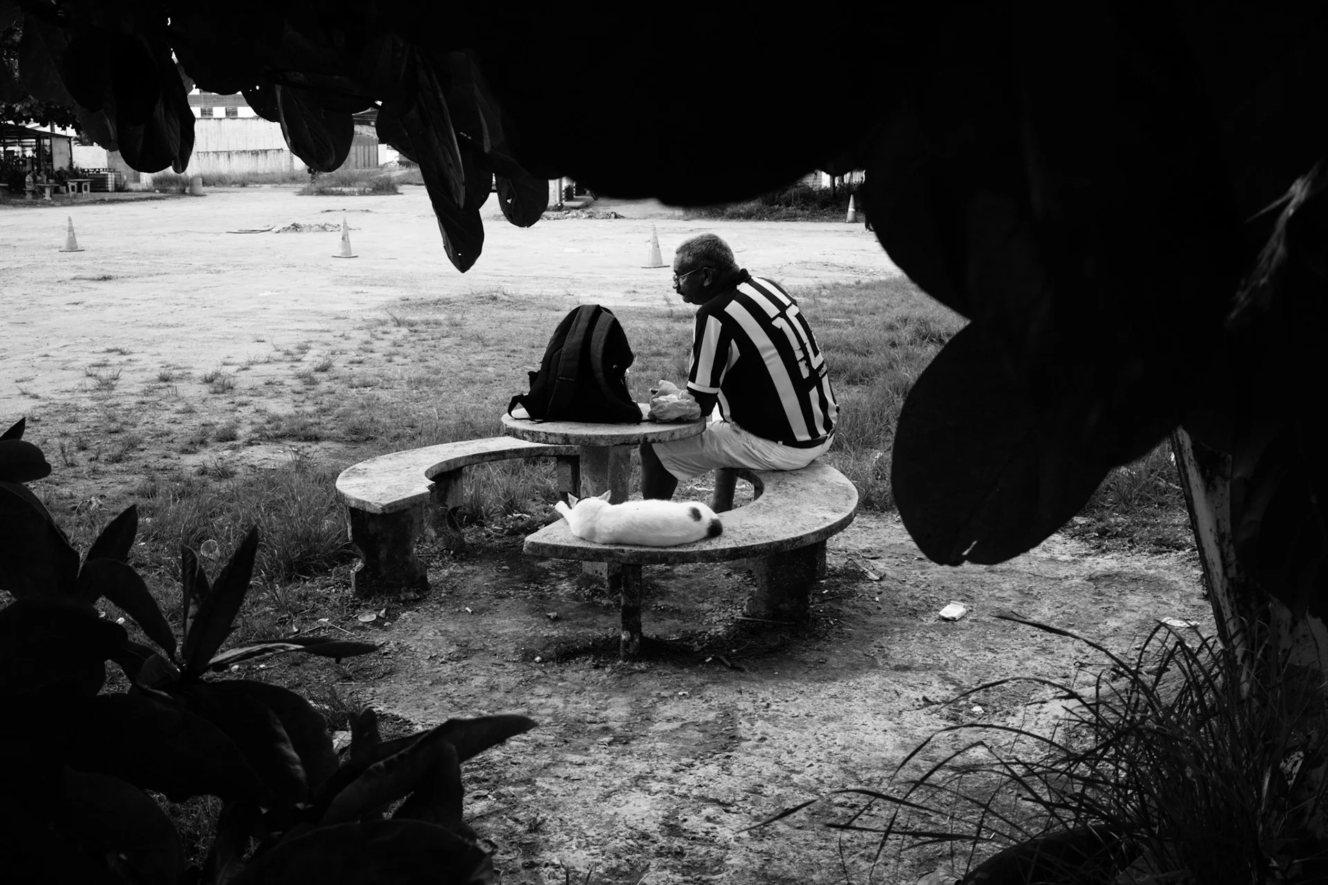 Third Division: photograph by Leo Saraiva, image 15